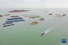 福建深远海养殖平台助力渔业现代化振兴