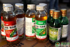 杀菌剂多少天打一次杀菌剂使用注意事项