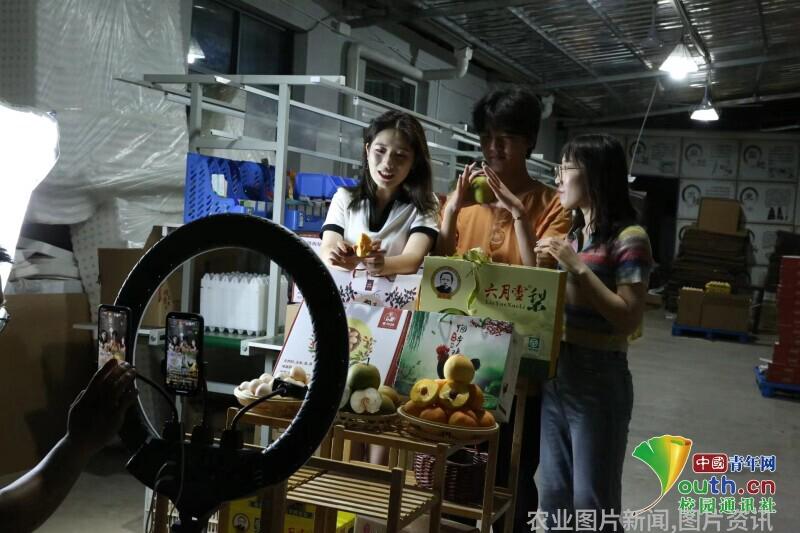 农业科普展示内容_农业科普活动_农业科普知识宣传材料