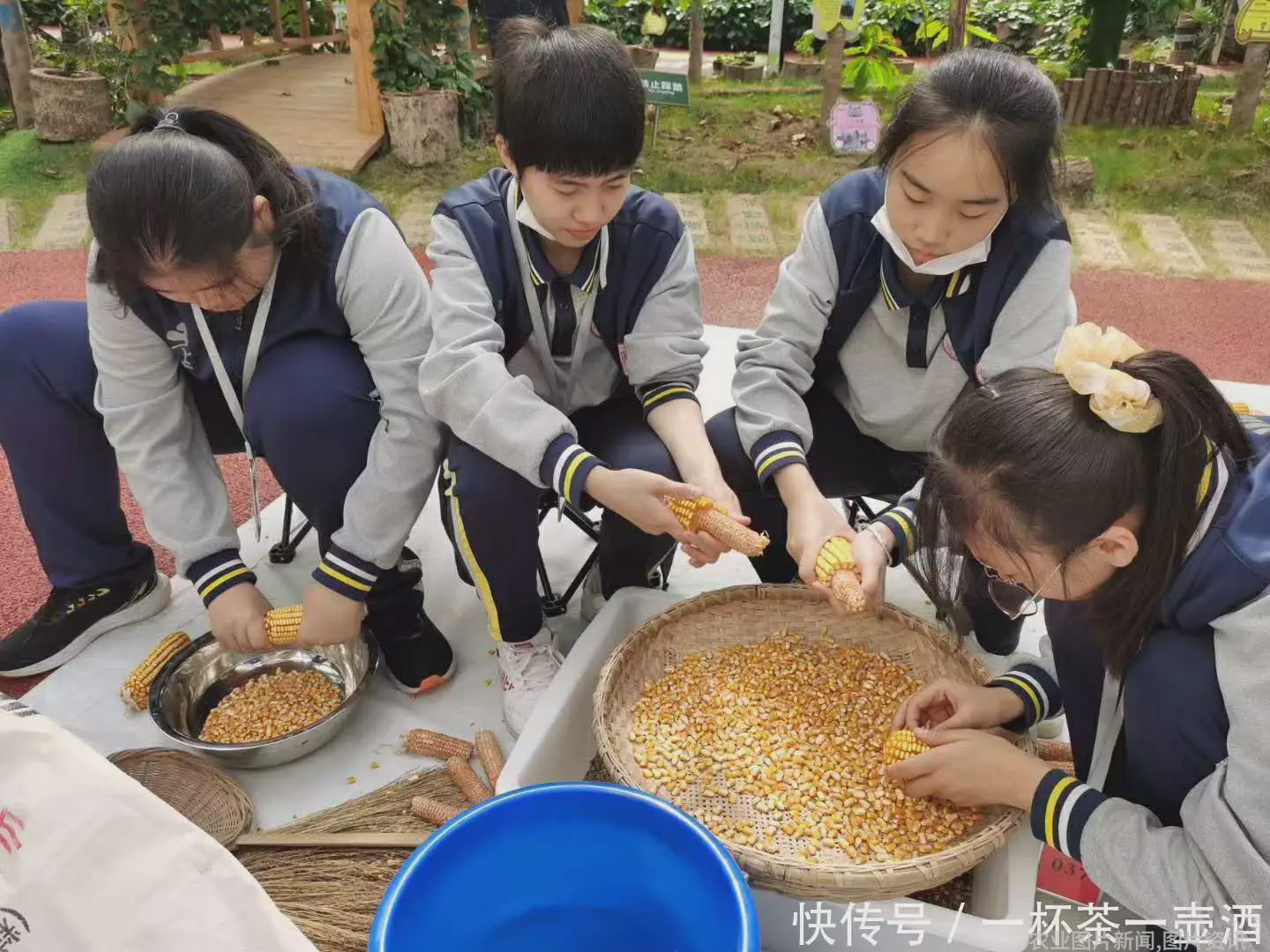 农业科普文章_关于农业的科普宣传标语_科普农业知识