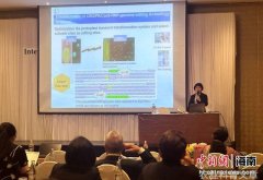 中新网专家在国际橡胶大会分享中国天然橡胶科