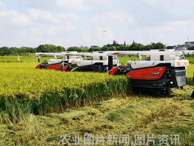 农业科普活动_农业科普知识宣传_农业科普讲座