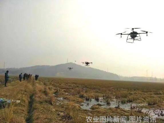 农业科普讲座_农业科普活动_农业科普知识宣传