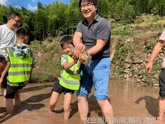 农业科普讲座_农业科普活动_农业科普知识宣传