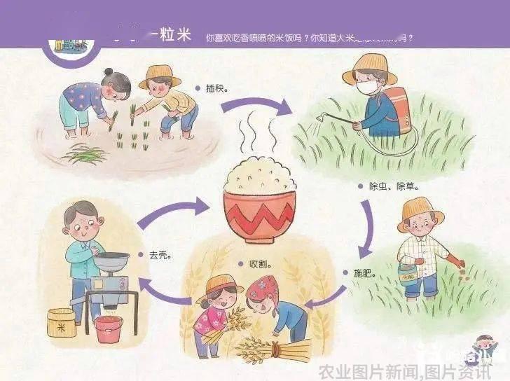 农业科普讲座_农业科普知识宣传_农业科普活动