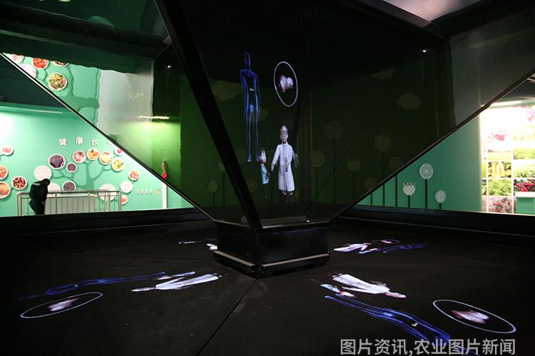 科普农业活动主题_农业科普活动_农业科普展示内容