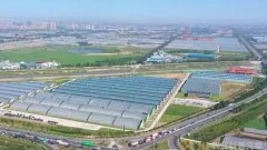 山东构建现代农业产业体系 提升农业现代化水平