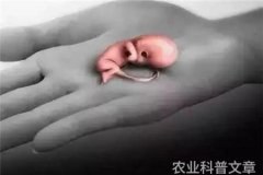 如何解决农村精准科普问题