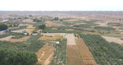 甘肃白银平川苹果披上中国红 产业发展信心足