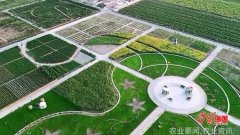 新疆哈密在农业科技园遇见最美植物