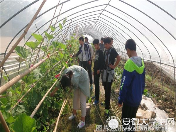 科普农业活动有哪些_农业科普展示内容_农业科普活动