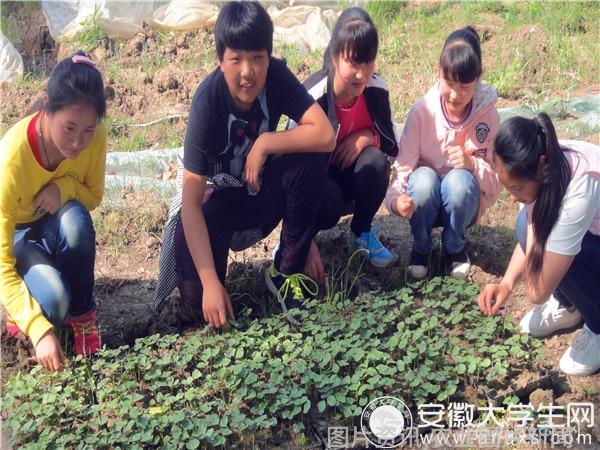 农业科普活动_科普农业活动有哪些_农业科普展示内容