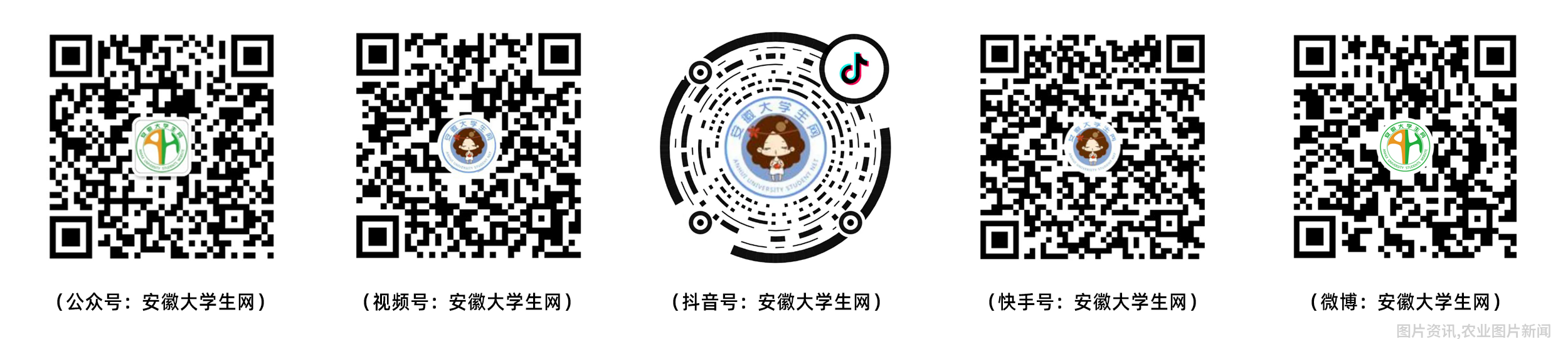 安徽高校新媒体矩阵