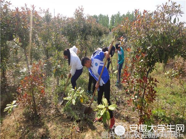 农业科普展示内容_科普农业活动有哪些_农业科普活动