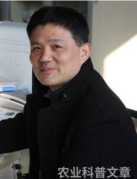 学术农业活动包括哪些_农业学术活动_农学活动有什么