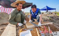 海南日报客户端组图视频为土壤体检海南省第三